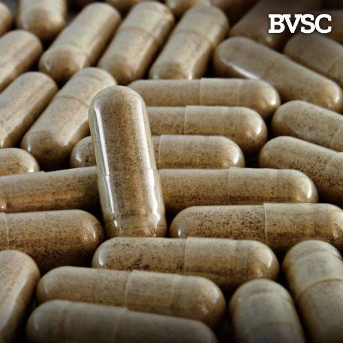 Ep 6 The Brown Pill cover image Ep 6 The Brown Pill cover image